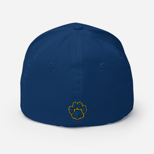 AEB - Structured Twill Cap | College State Hat | Embroidered State Hat, All 50 States Baseball Cap, Vintage State Hat - Image 2