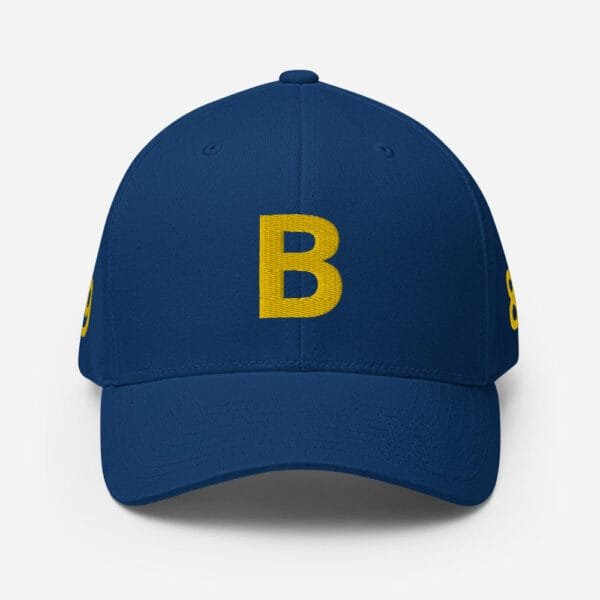 AEB - B Structured Twill Cap