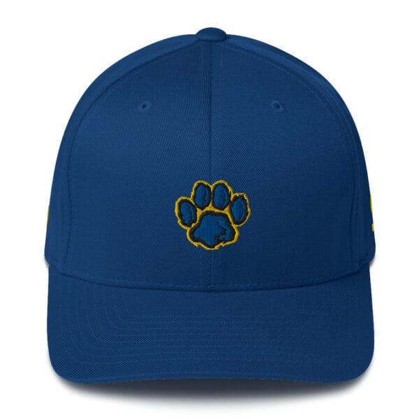 FVSU - Customized (Year) Structured Twill Cap FV in BACK - Image 6