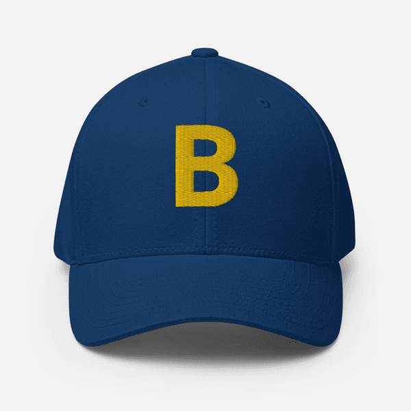 AEB - Structured Twill Cap | College State Hat | Embroidered State Hat, All 50 States Baseball Cap, Vintage State Hat