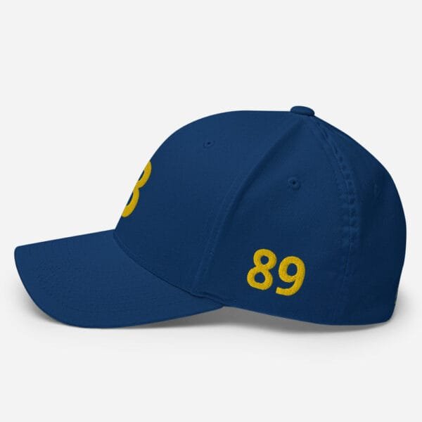 AEB - B Structured Twill Cap - Image 6