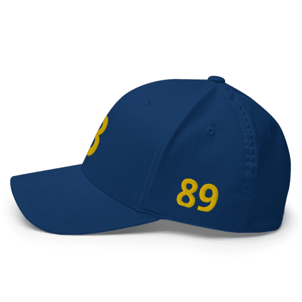 AEB - Structured Twill Cap | College State Hat | Embroidered State Hat, All 50 States Baseball Cap, Vintage State Hat - Image 5