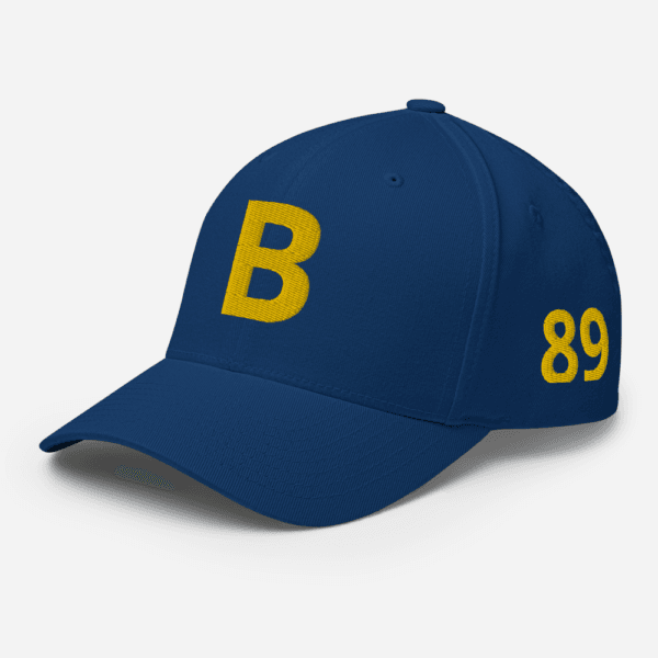 AEB - Structured Twill Cap | College State Hat | Embroidered State Hat, All 50 States Baseball Cap, Vintage State Hat - Image 7