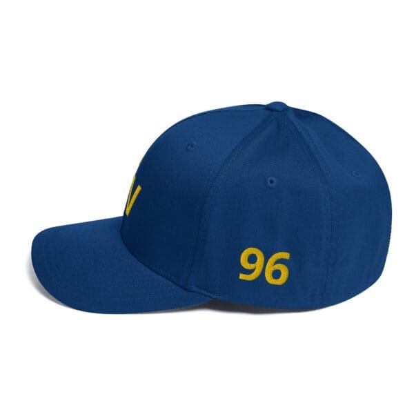 FV - Fort Valley State Structured Twill Cap - Image 4