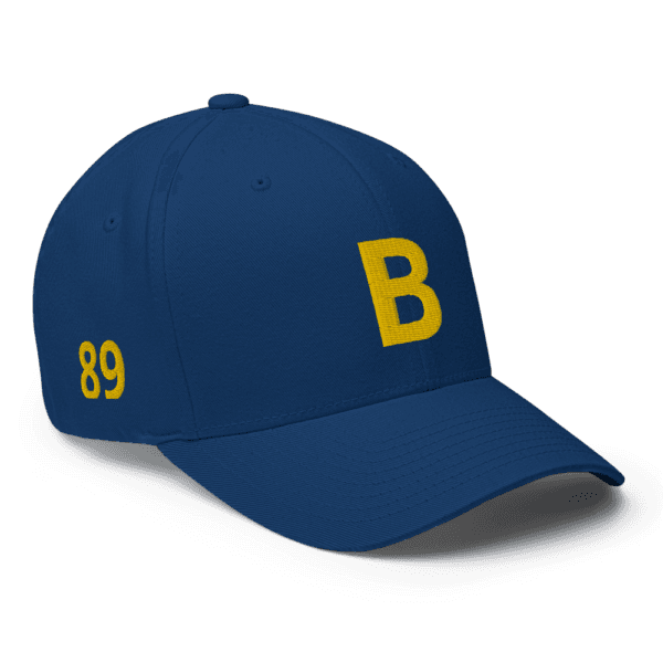 AEB - Structured Twill Cap | College State Hat | Embroidered State Hat, All 50 States Baseball Cap, Vintage State Hat - Image 8