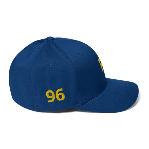 FV - Fort Valley State Structured Twill Cap - Image 3