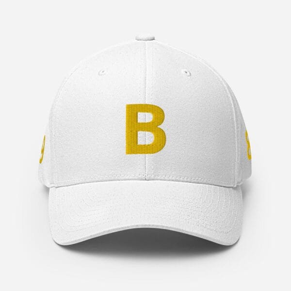 AEB - B Structured Twill Cap - Image 7