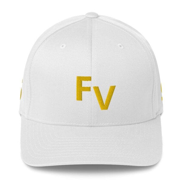 FV - Fort Valley State Structured Twill Cap - Image 5