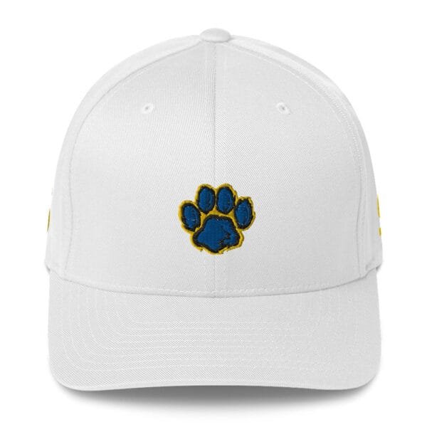 FVSU - Customized (Year) Structured Twill Cap FV in BACK