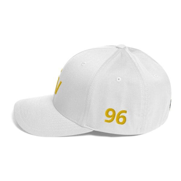 FV - Fort Valley State Structured Twill Cap - Image 8