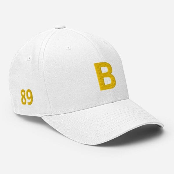 AEB - B Structured Twill Cap - Image 9